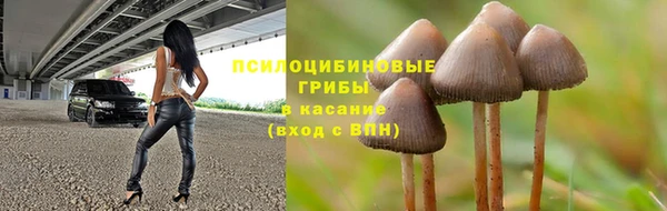 гидропоника Алексин