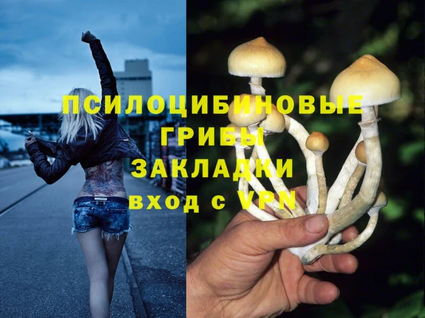 2c-b Алексеевка