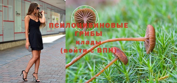 каннабис Слюдянка