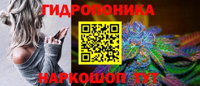 индика Кумертау