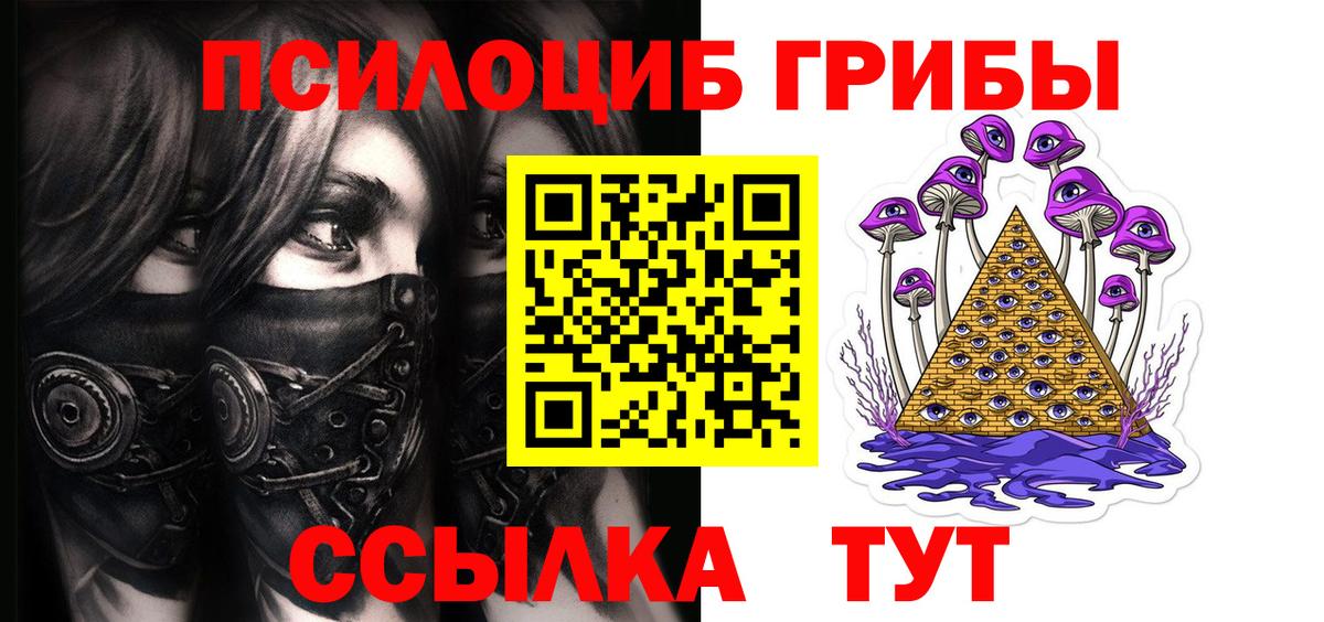 Галлюциногенные грибы прущие грибы  Вход с VPN  Дмитров 